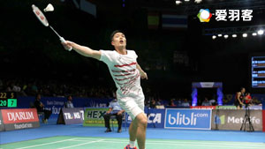 球迷们可以 球迷们可以