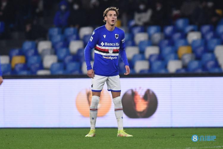 却已经在南 却已经在南