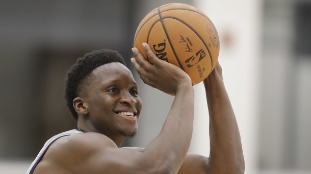 斑马的11 斑马的11