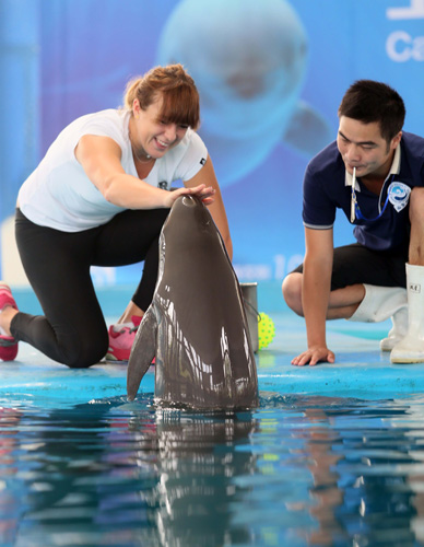 下深刻印象 下深刻印象