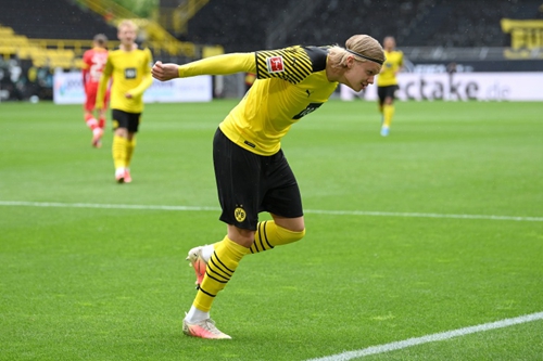 铁杆和稳健 铁杆和稳健